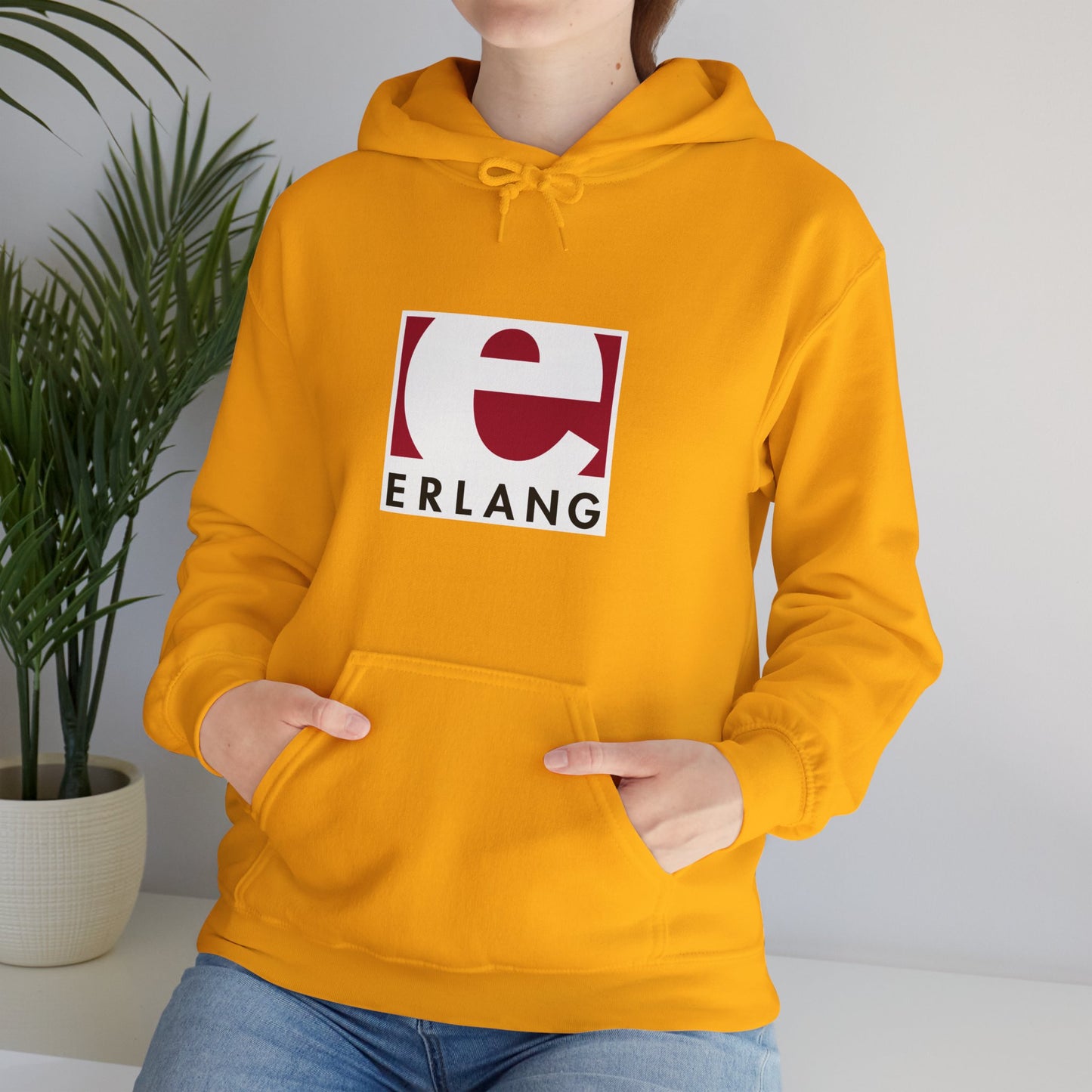 light_hoodie("erlang")
