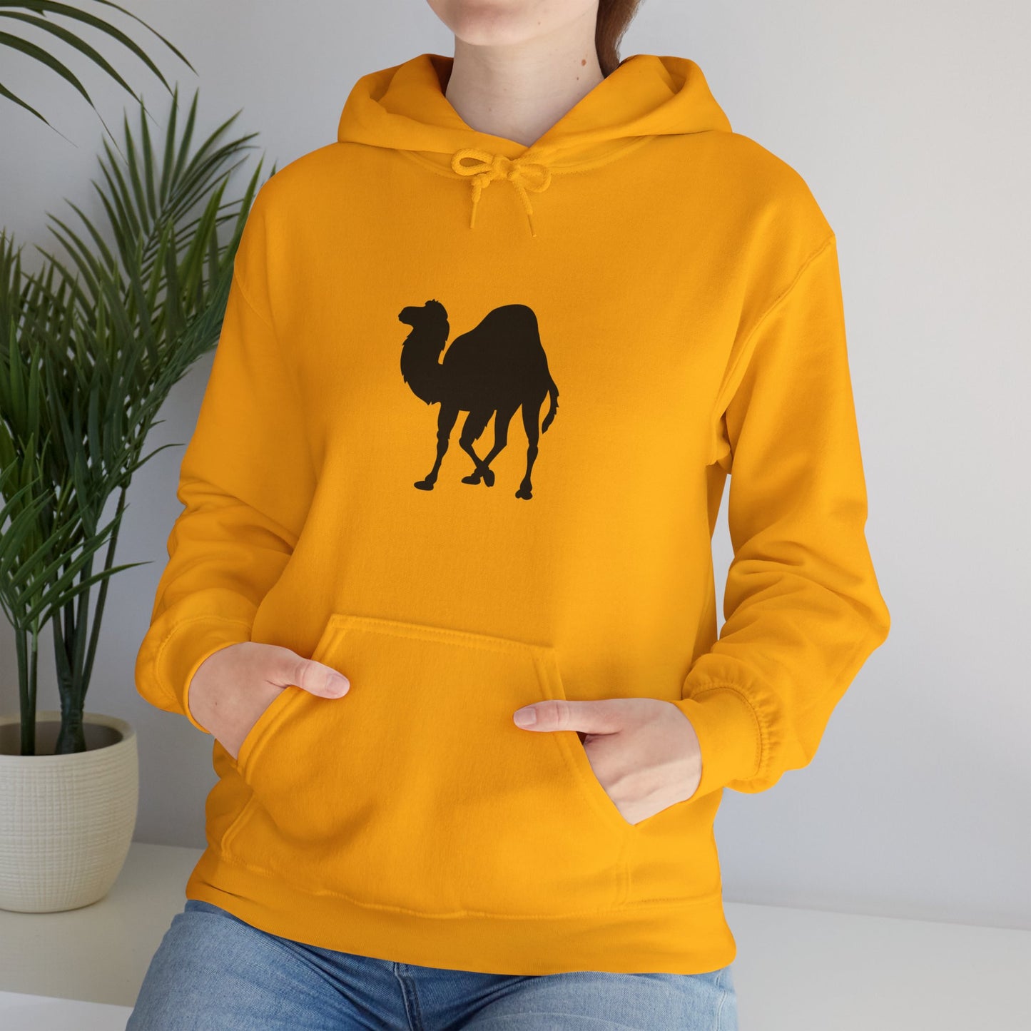 light_hoodie("perl")