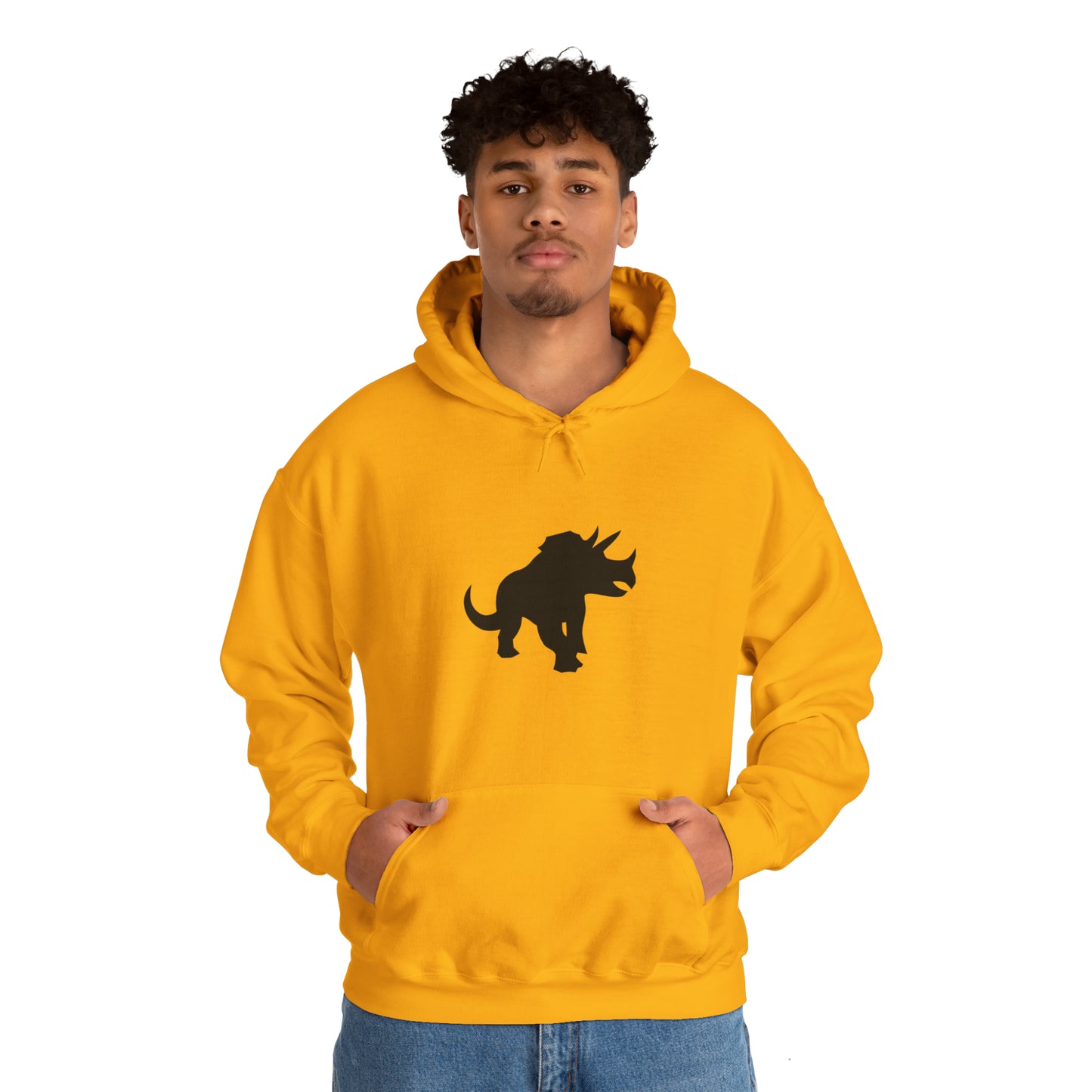 light_hoodie("cobol", "#000")