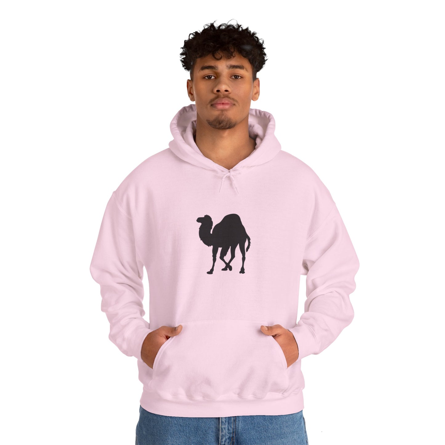 light_hoodie("perl")