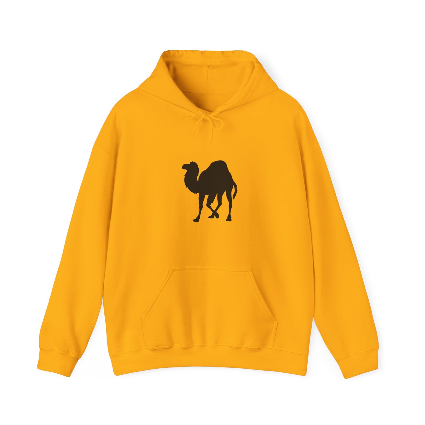 light_hoodie("perl")