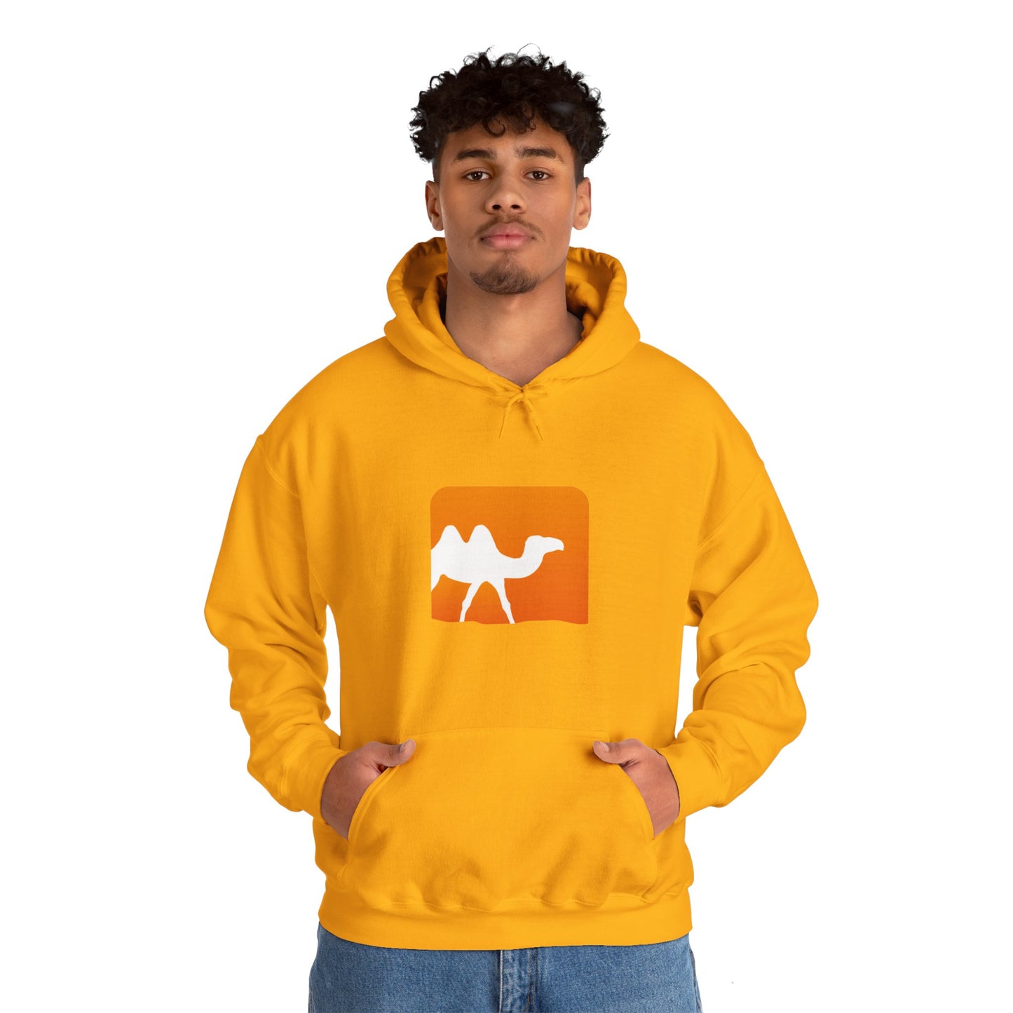 light_hoodie("ocaml")