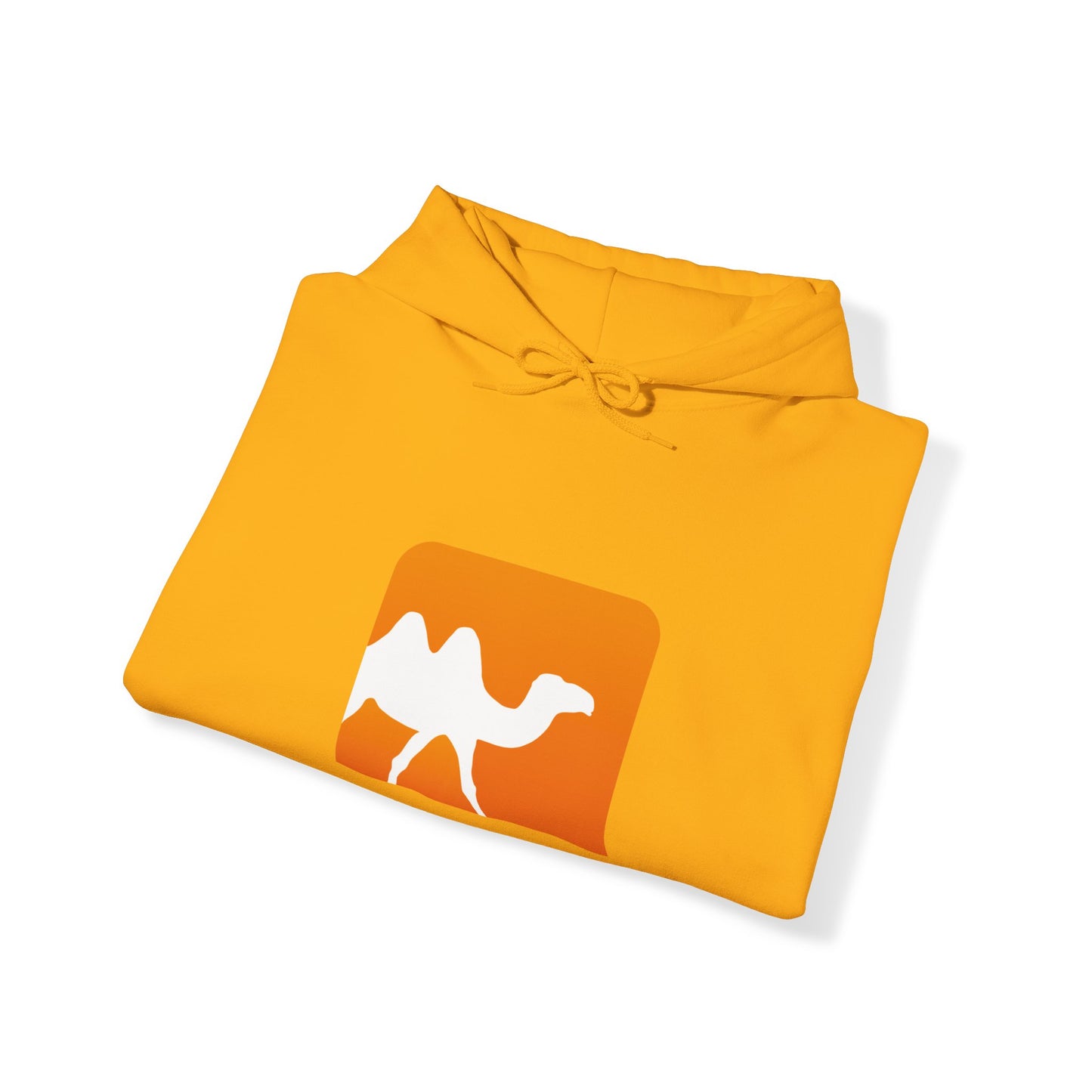 light_hoodie("ocaml")