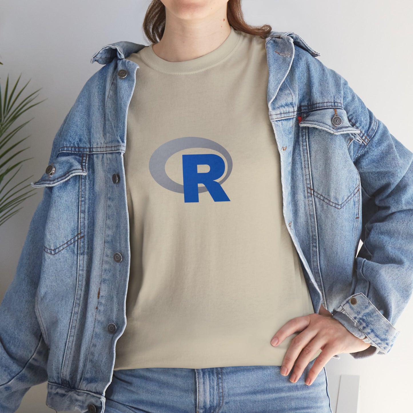 light_teeshirt("r")