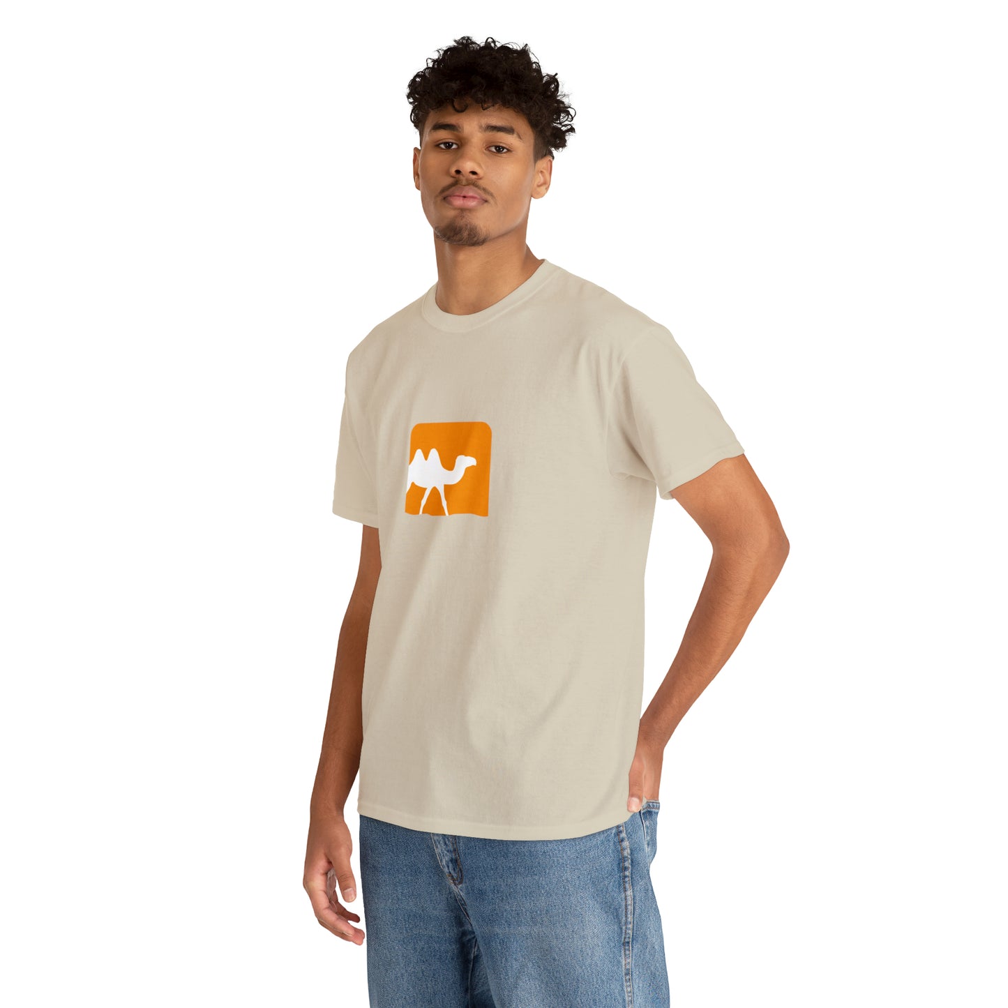 light_teeshirt("ocaml")
