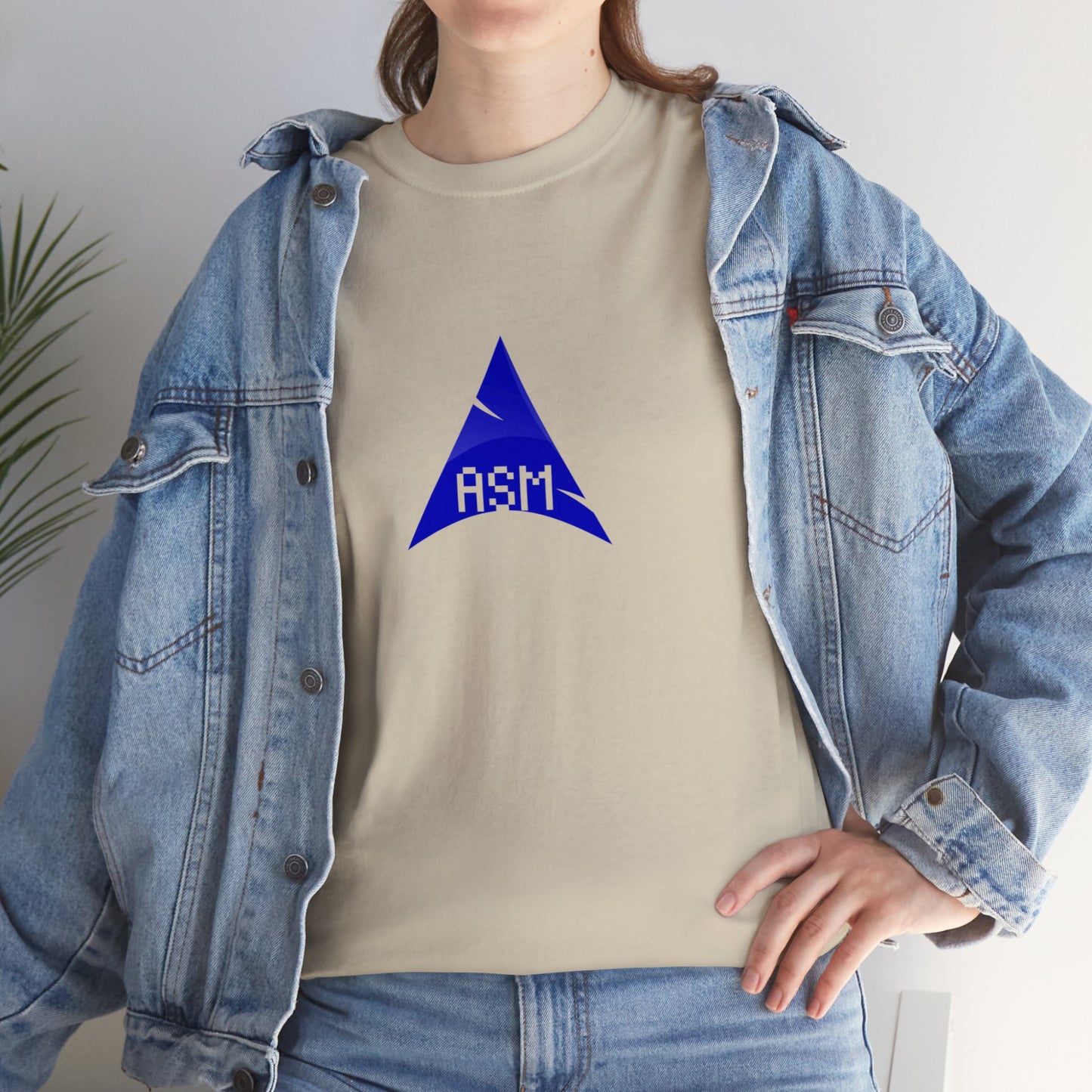 light_teeshirt("assembly")