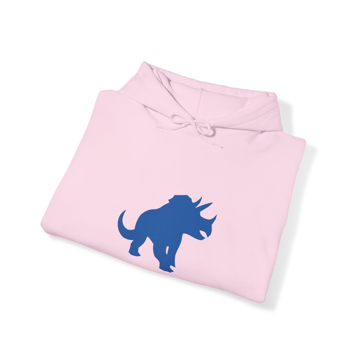 light_hoodie("cobol")