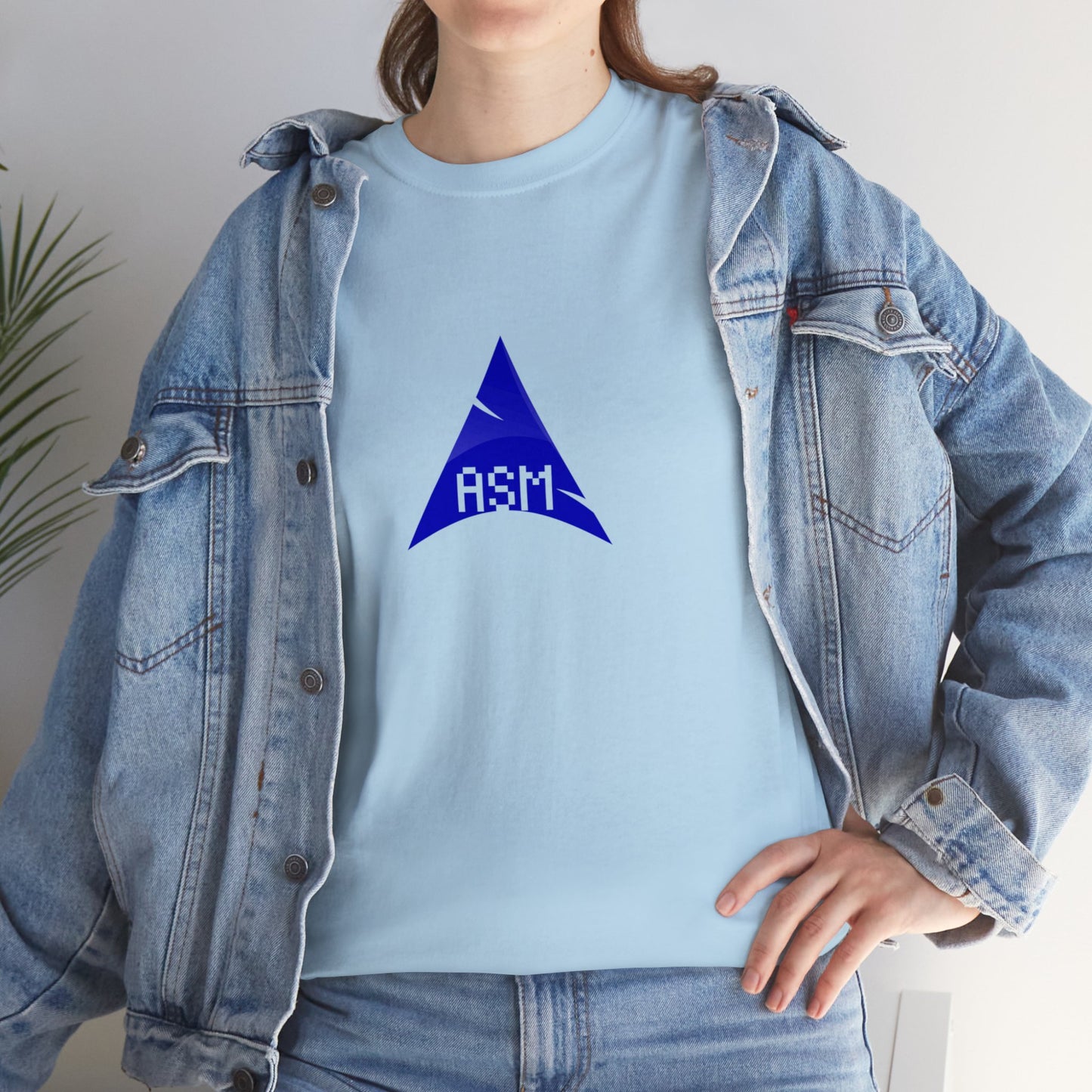 light_teeshirt("assembly")