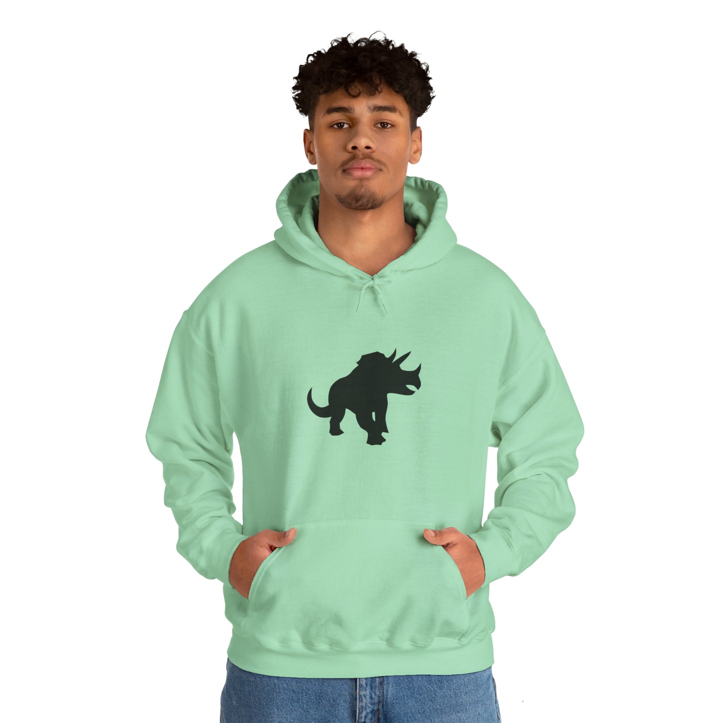 light_hoodie("cobol", "#000")