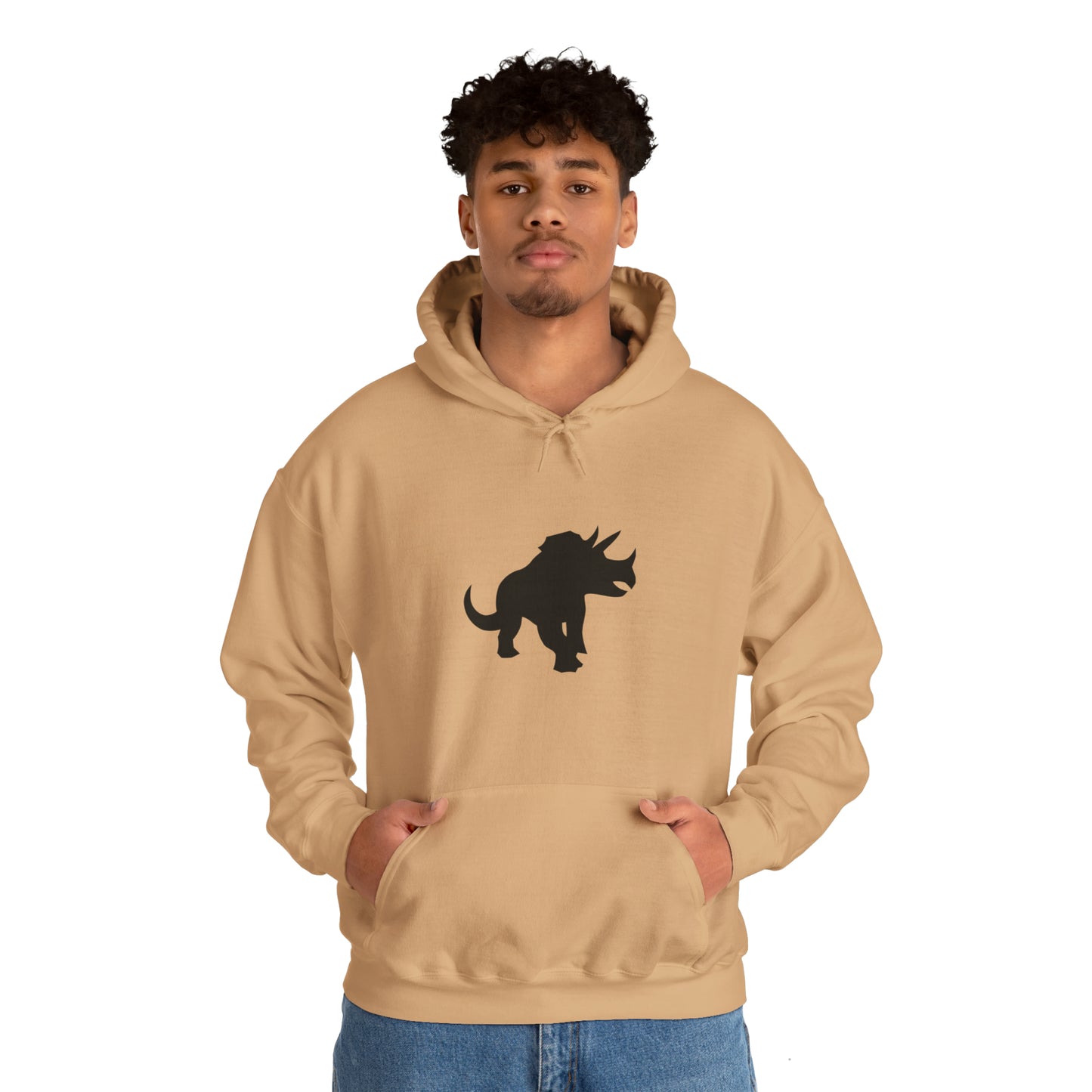 light_hoodie("cobol", "#000")