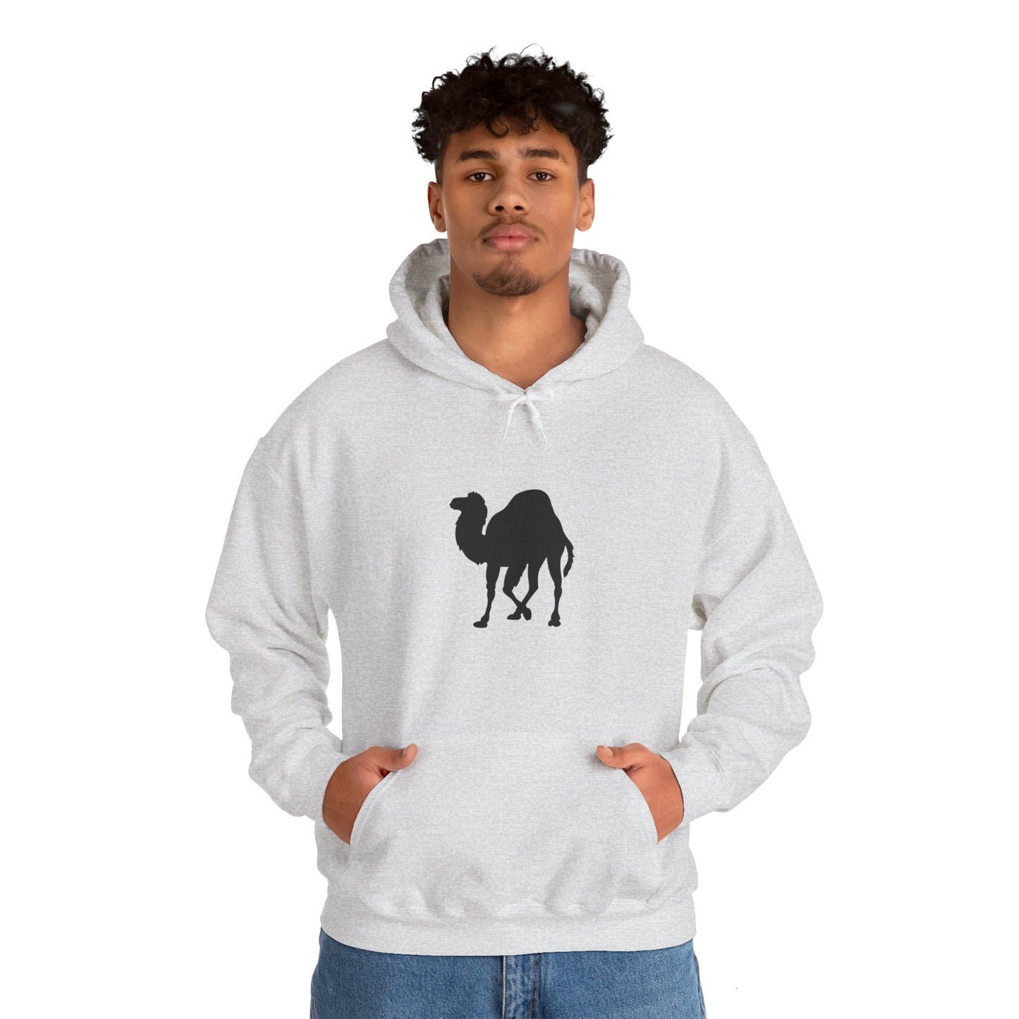 light_hoodie("perl")