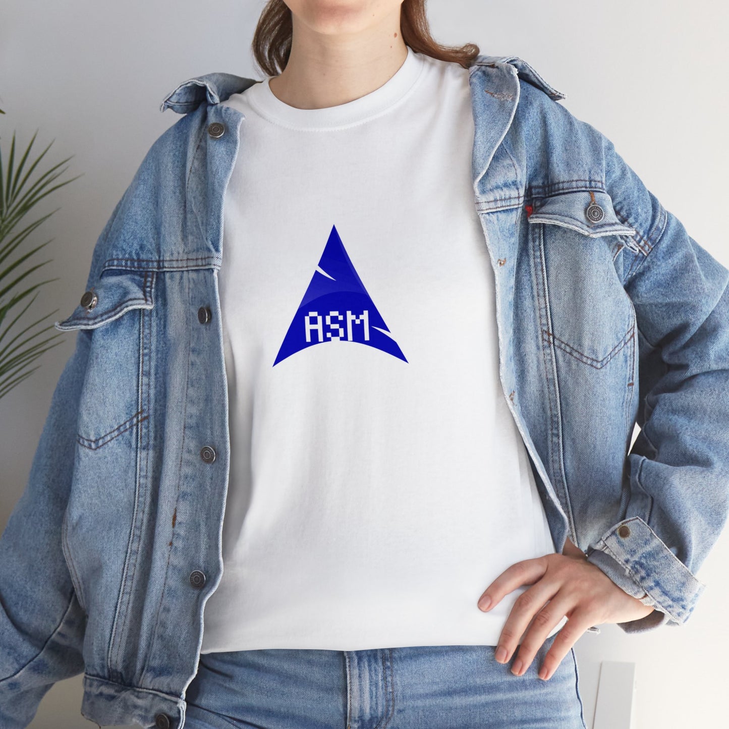 light_teeshirt("assembly")