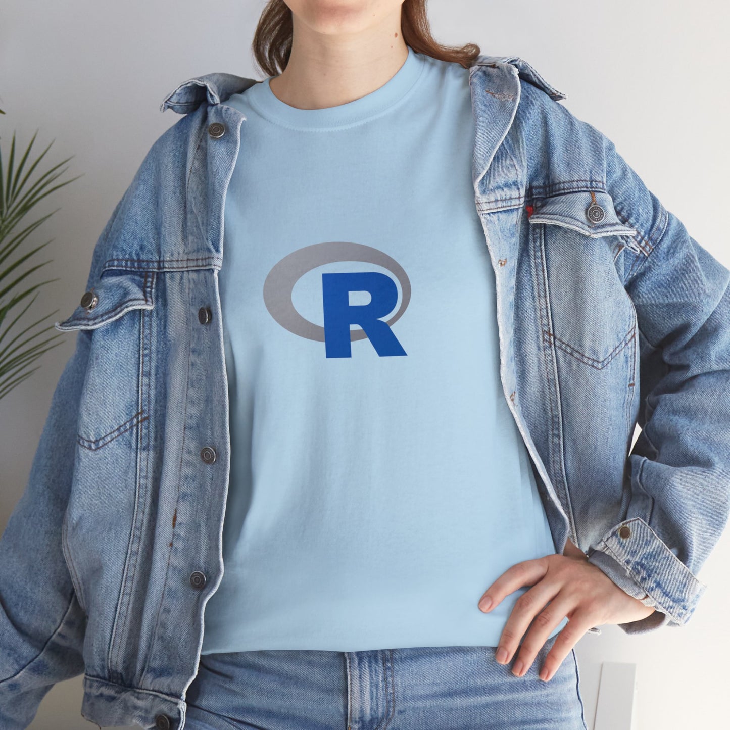 light_teeshirt("r")