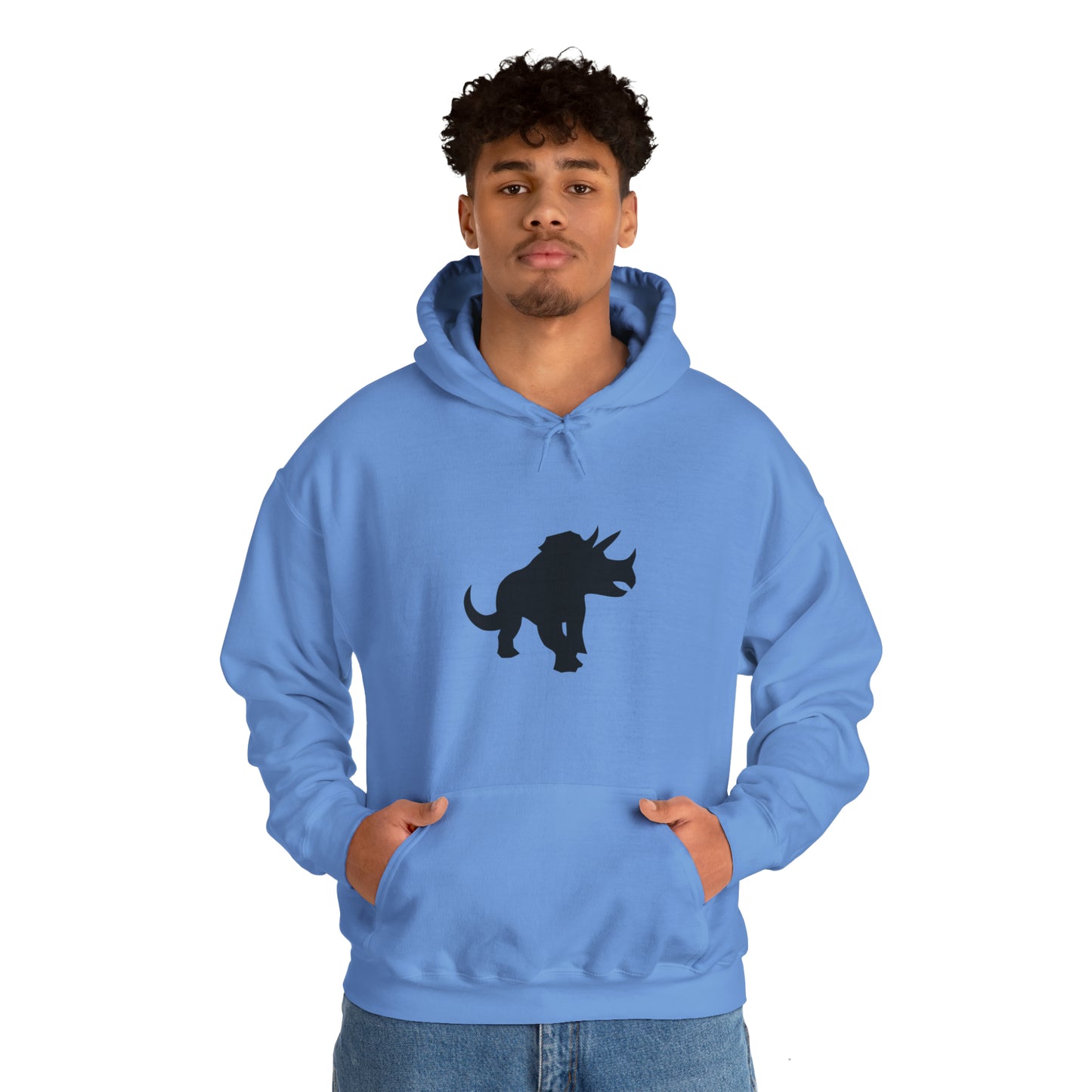 light_hoodie("cobol", "#000")