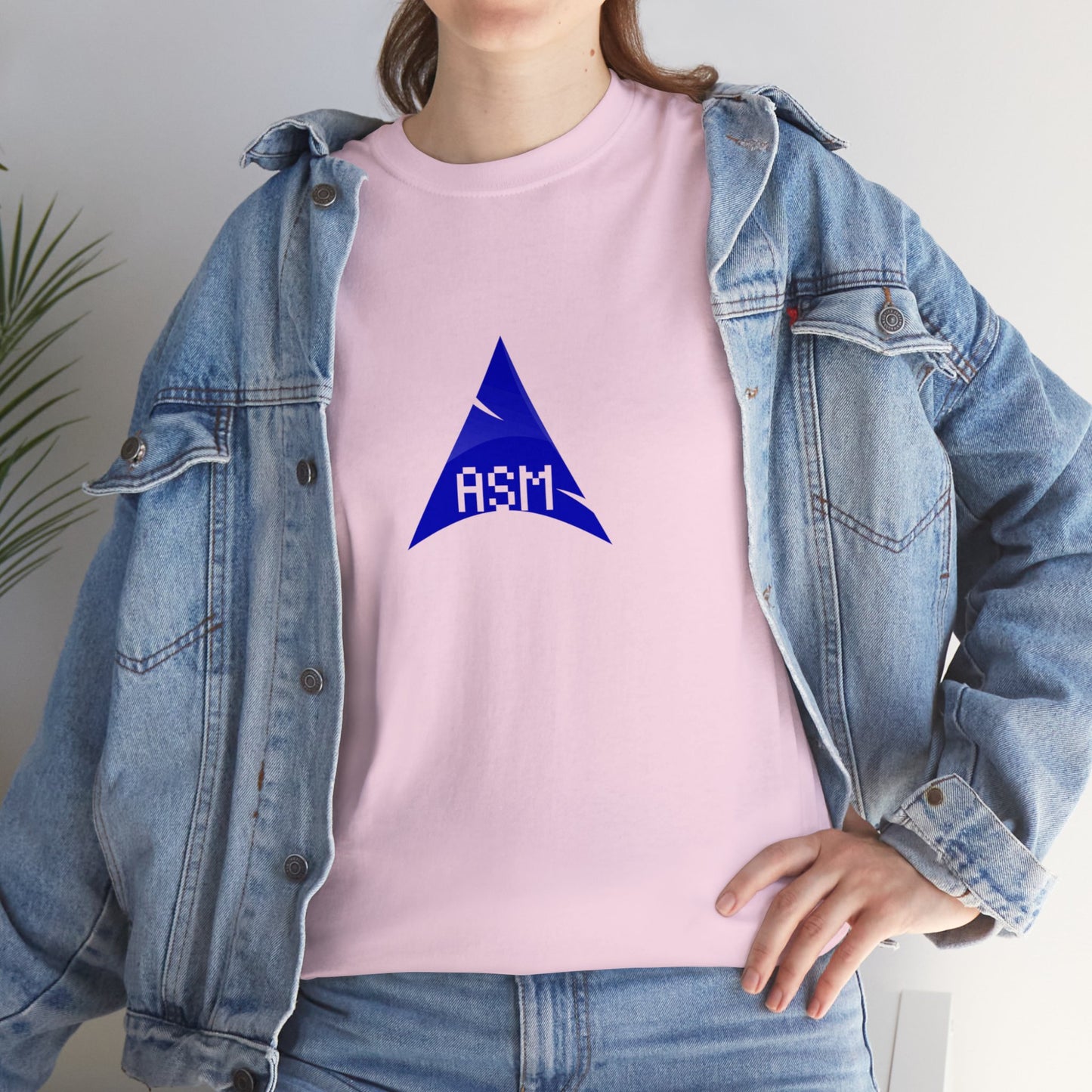 light_teeshirt("assembly")